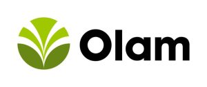 Olam